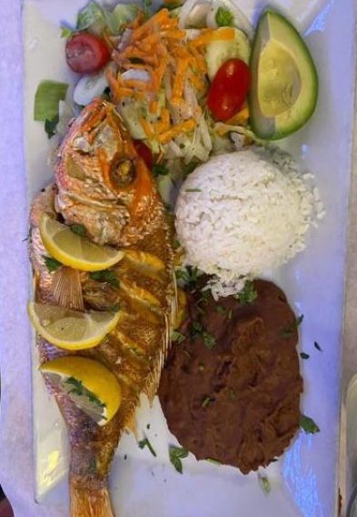 WhatsApp Image 2023-12-12 at 7.50.42 PM